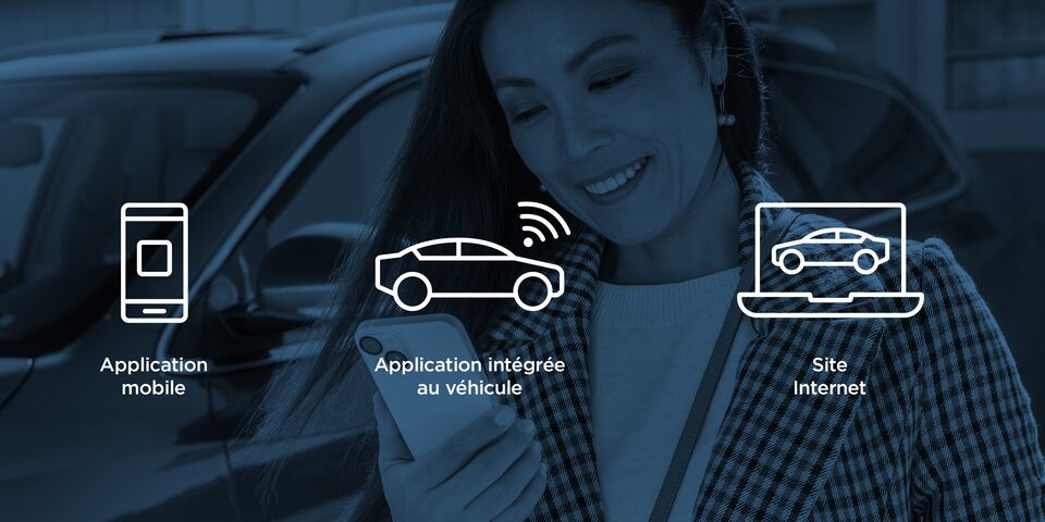 Icônes : application mobile, application embarquée, site Web