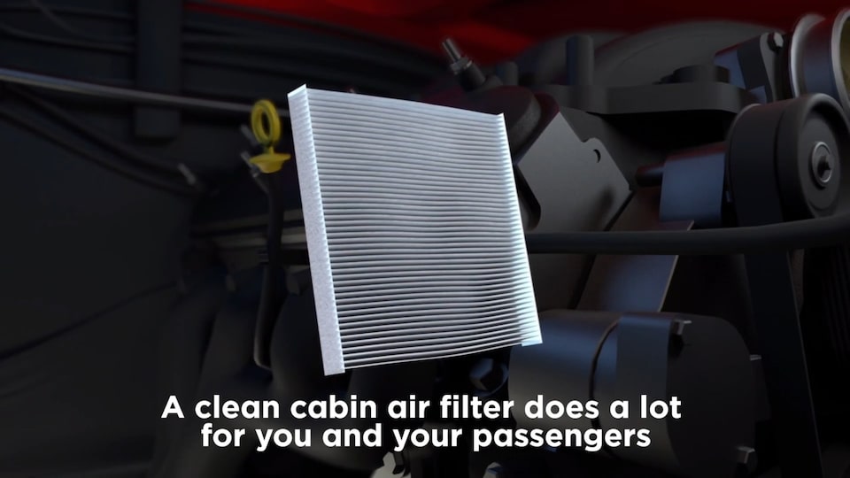 Video: A clean cabin air filter does a lot for you and your passengers.