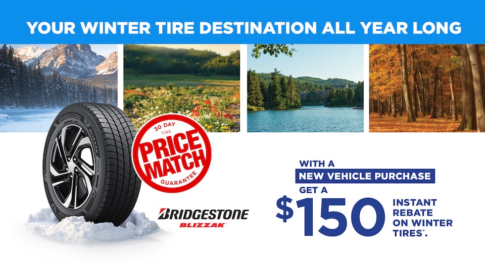 My Certified Service promotional banner featuring a tire in snow with scenic seasonal landscapes.