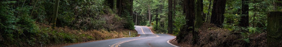 Scenic forest road symbolizing safe, reliable driving with the GM Tire Protection Plan coverage.