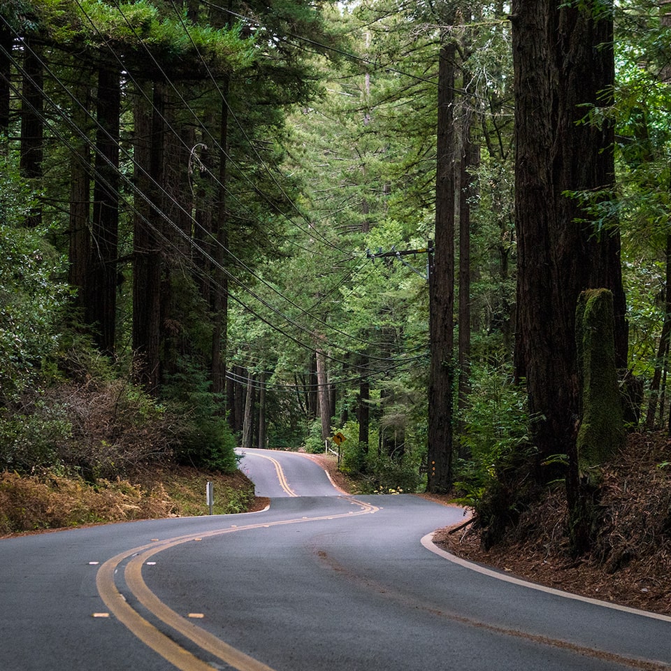 Une route pittoresque en forêt, pour symboliser la sécurité et la fiabilité accrues qu’apporte le plan de protection des pneus GM.